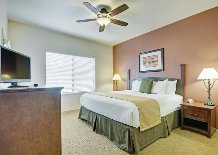 Enjoy 1bd In Nature Preserve Setting Amenities Including Pool